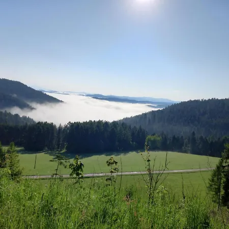 Pod Lesom * Velka Frankova