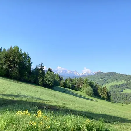 Pod Lesom Velka Frankova