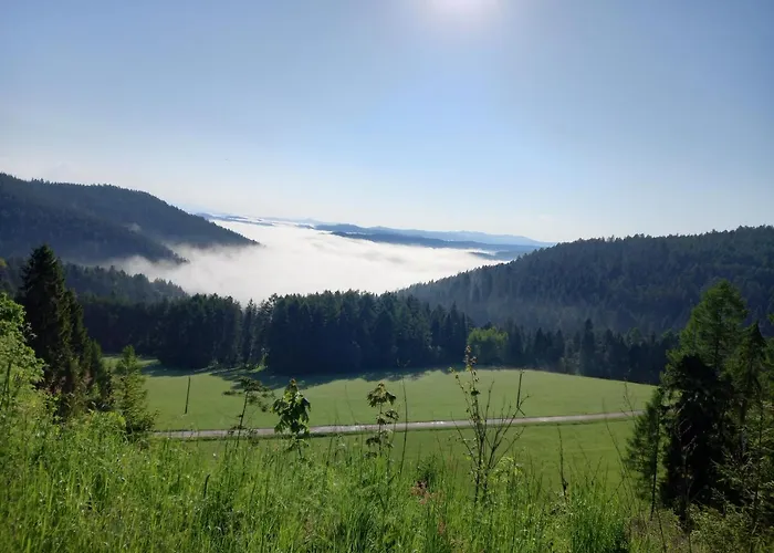 Pod Lesom * Velka Frankova