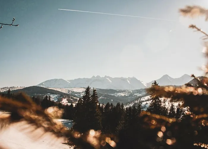 度假居 Pod Lesom Velka Frankova