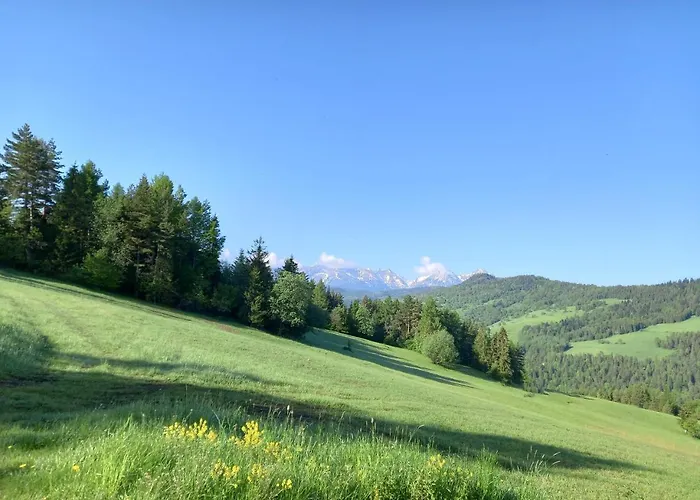 Pod Lesom Velka Frankova